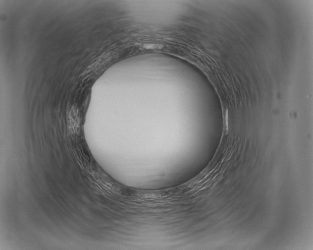 X0000068281443200604210904