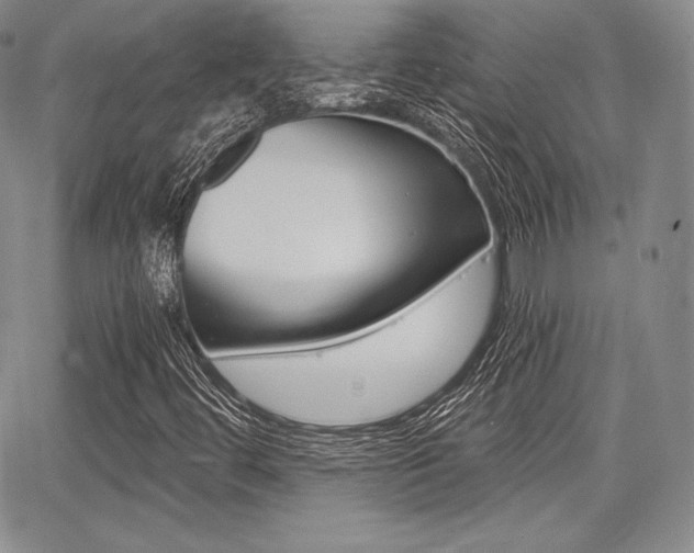 X0000068281444200604210904