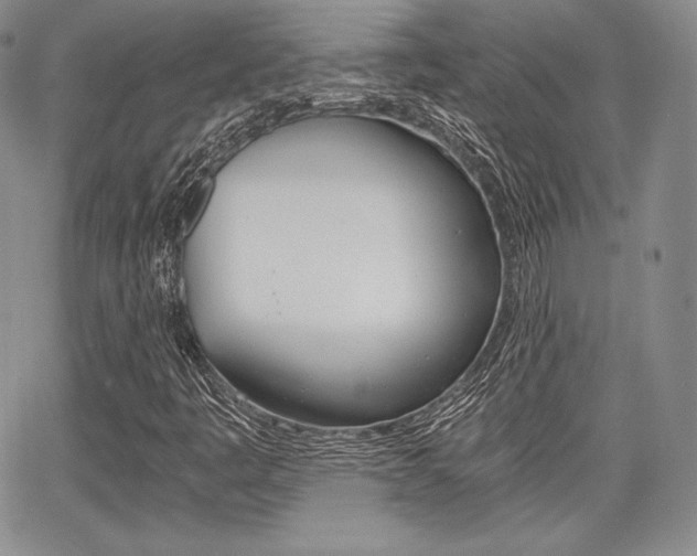 X0000068281445200604210904