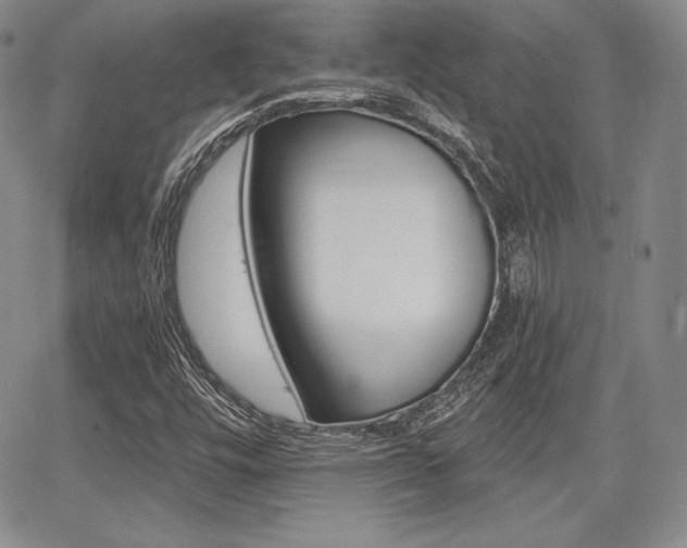 X0000068281448200604210904