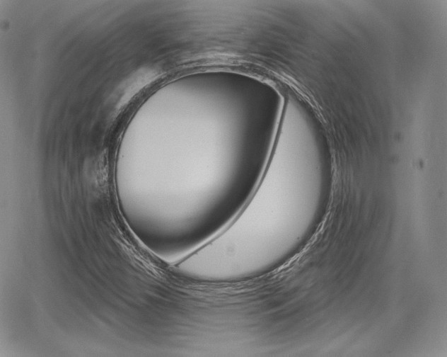 X0000068281450200604210904