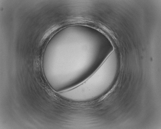 X0000068281453200604210904