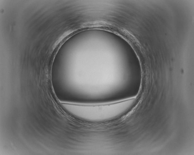 X0000068281457200604210904