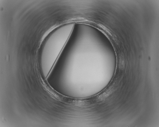 X0000068281458200604210904
