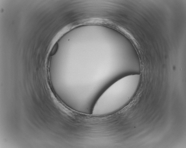 X0000068281475200604210903