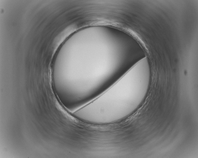 X0000068281476200604210903