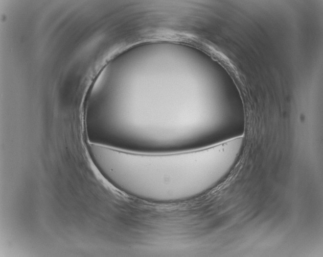 X0000068281479200604210903