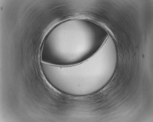 X0000068281484200604210903