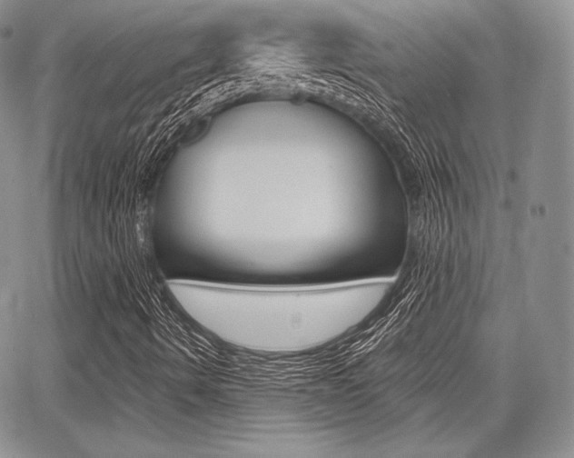 X0000068281490200604210902