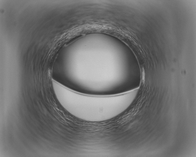 X0000068281492200604210902