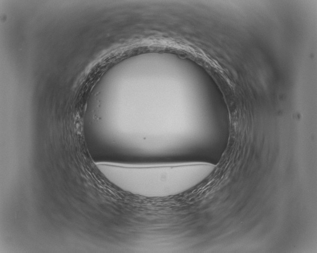 X0000068281495200604210902