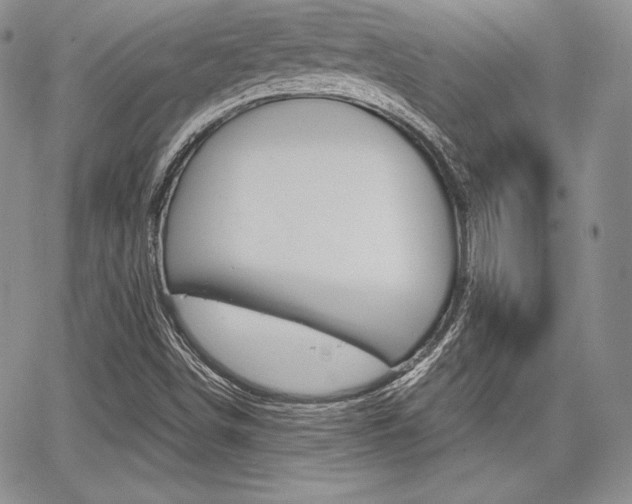 X0000068281498200604210902