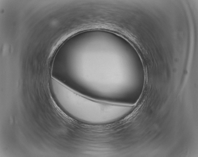 X0000068281500200604210902