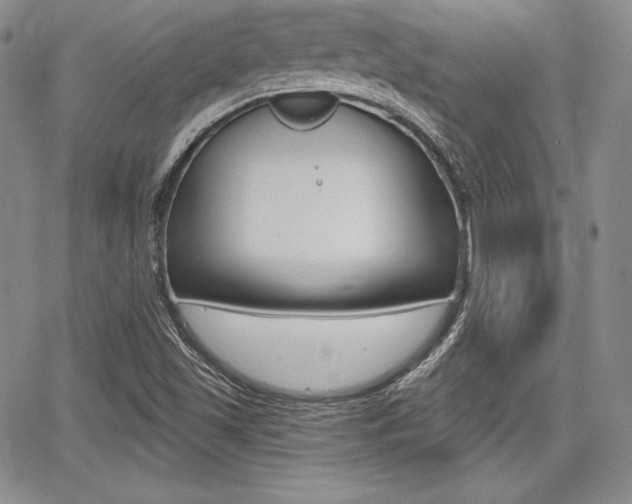 X0000068281501200604210902