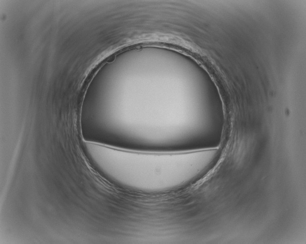 X0000068281505200604210903