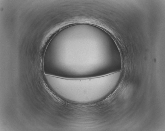 X0000068281507200604210903