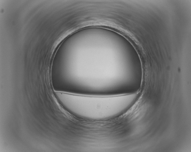 X0000068281513200604210903