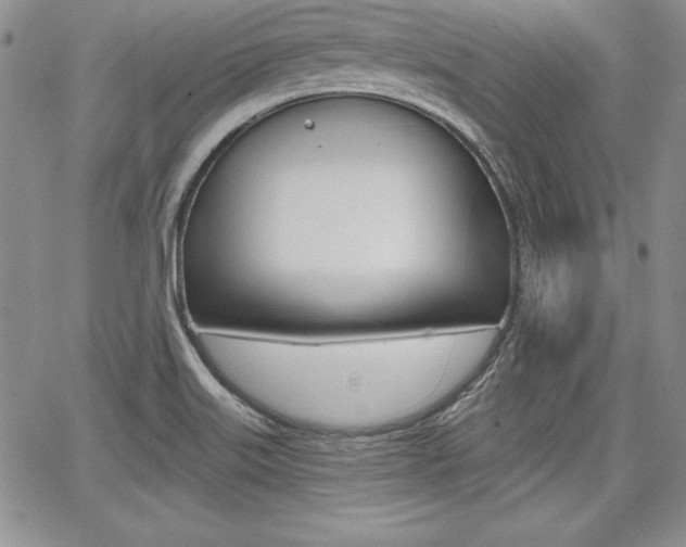 X0000068281515200604210903