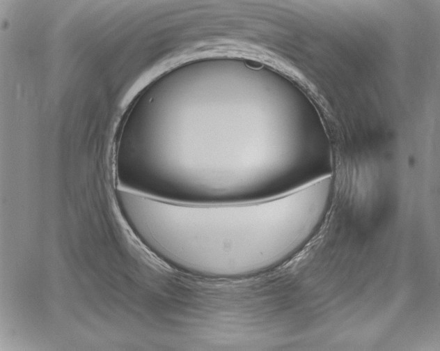 X0000068281522200604210903