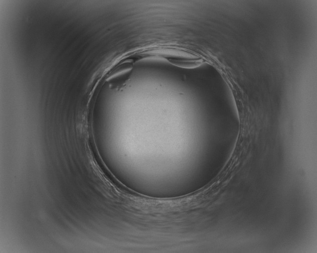 X0000068280002200604211123