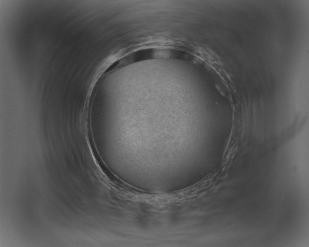 X0000068280003200604211123
