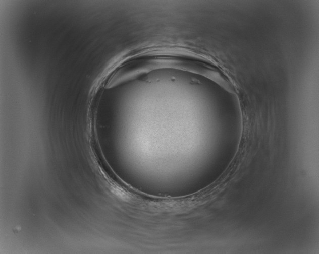 X0000068280005200604211123