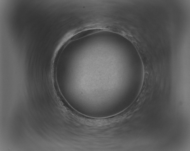 X0000068280006200604211123