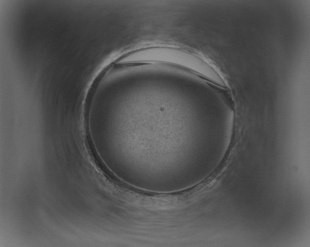 X0000068280008200604211123