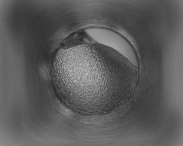 X0000068280009200604211123