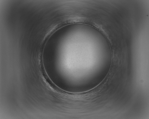 X0000068280010200604211123
