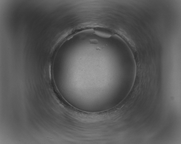 X0000068280014200604211123