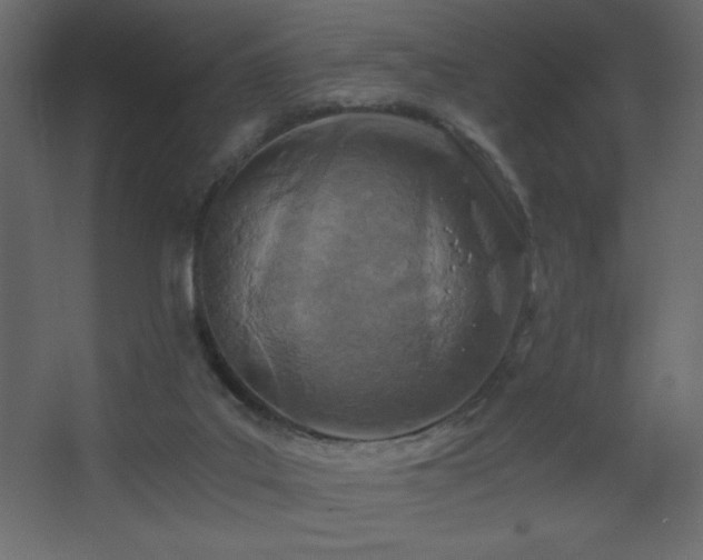 X0000068280019200604211123