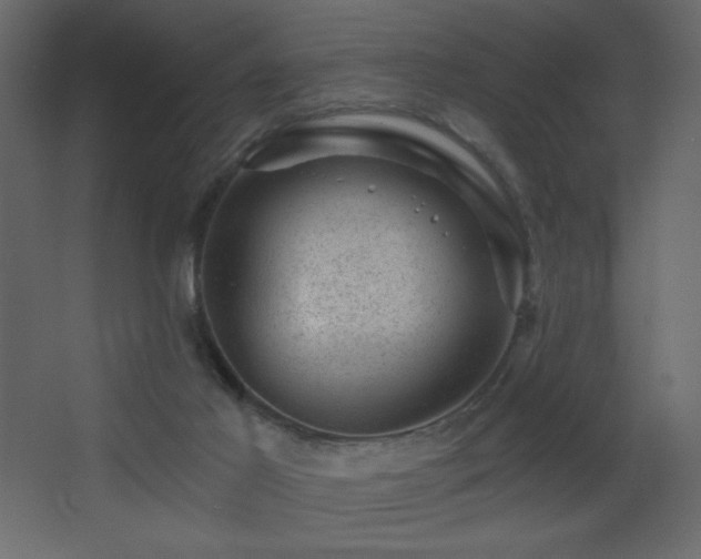 X0000068280021200604211123