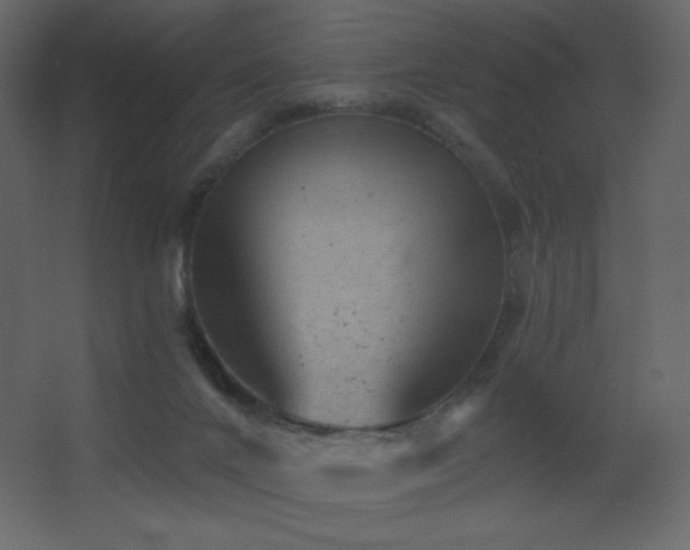 X0000068280024200604211123