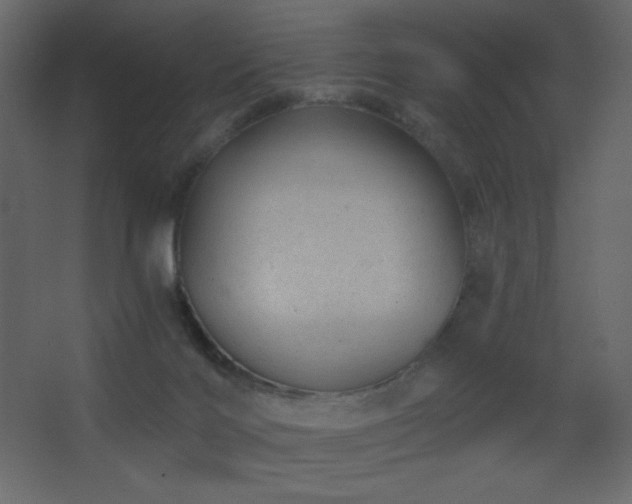 X0000068280028200604211123