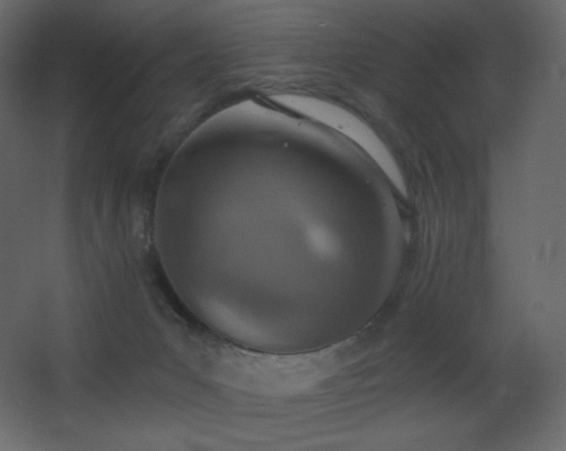 X0000068280031200604211123