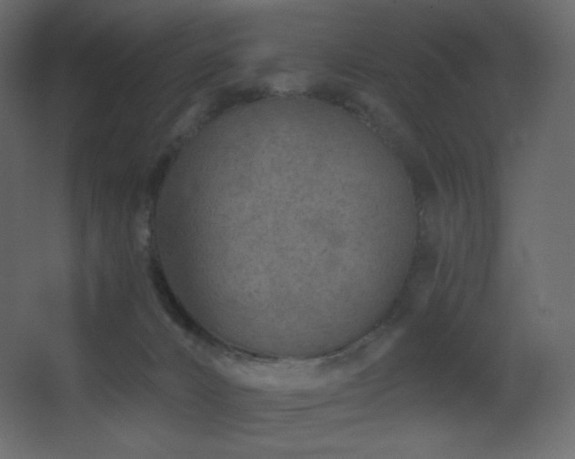 X0000068280032200604211122