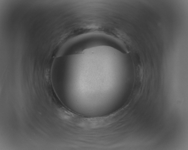 X0000068280033200604211122