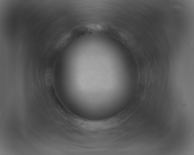X0000068280034200604211122