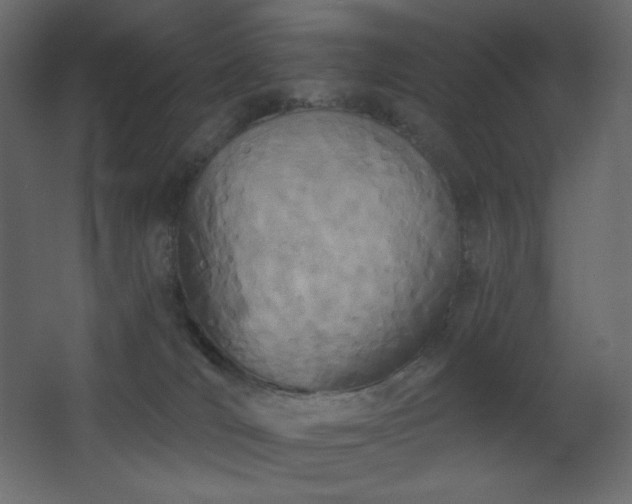 X0000068280036200604211122