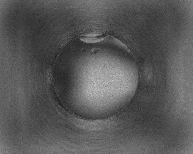 X0000068280038200604211122