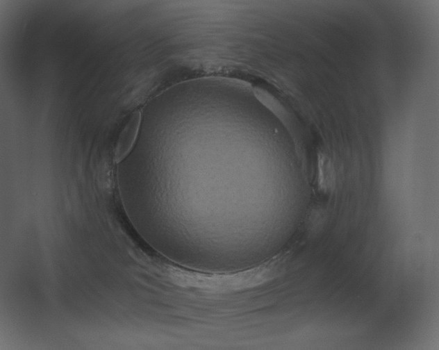 X0000068280039200604211122