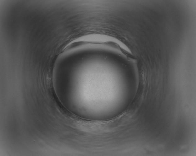 X0000068280040200604211122