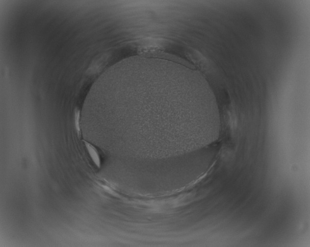 X0000068280041200604211122