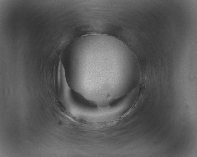 X0000068280045200604211122
