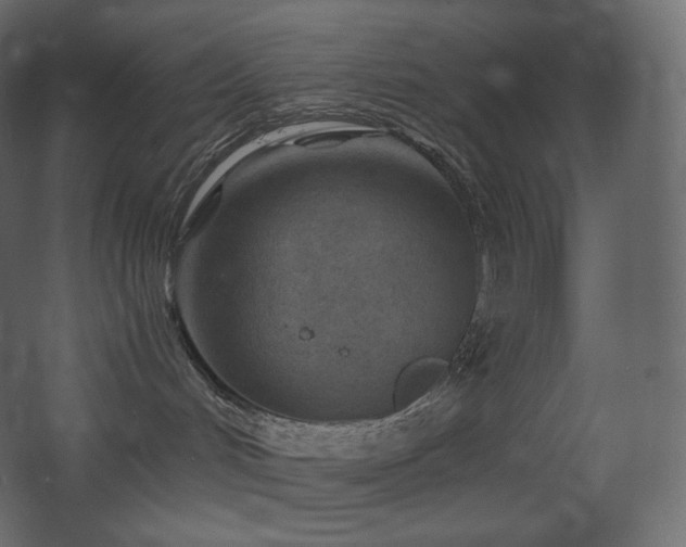 X0000068280048200604211122