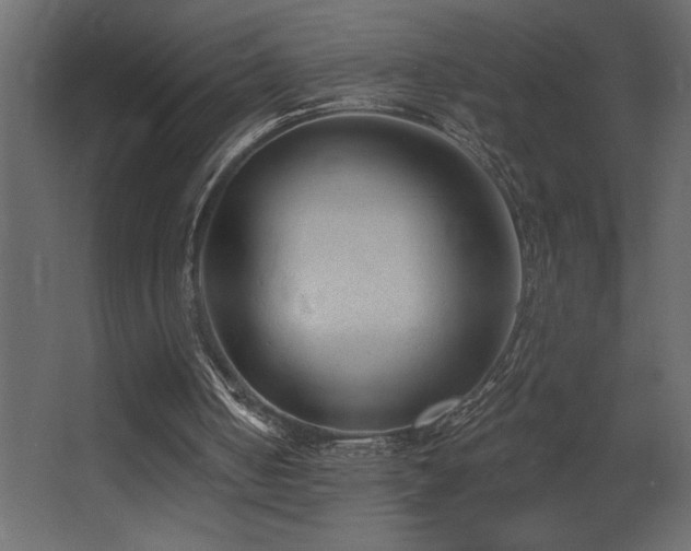X0000068280050200604211121