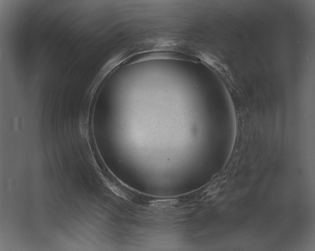 X0000068280051200604211121