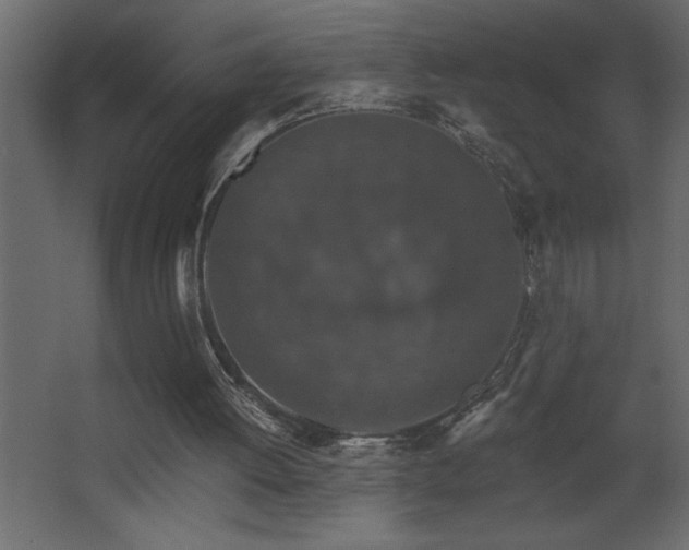 X0000068280052200604211121