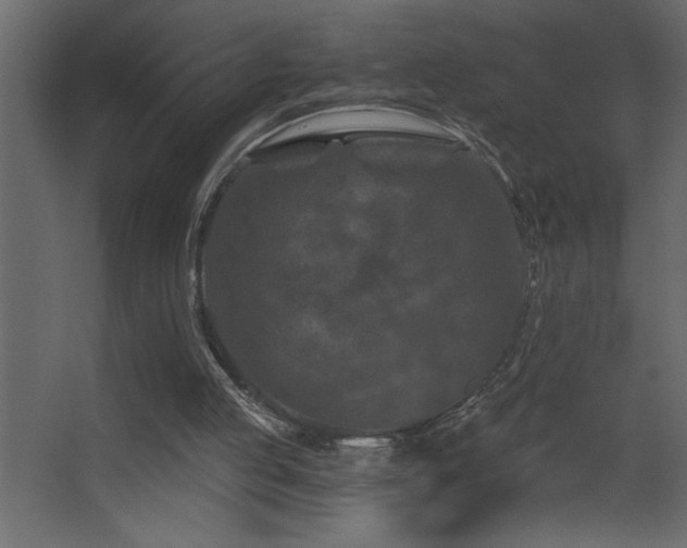 X0000068280053200604211121